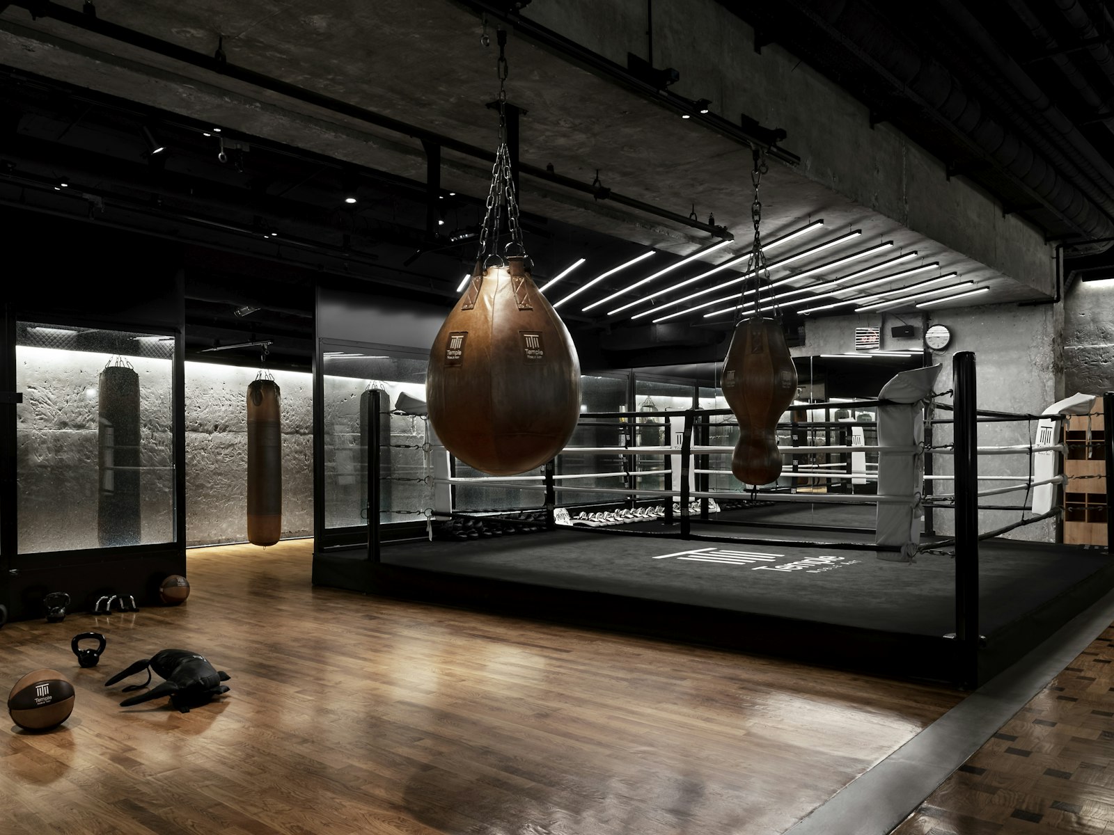 Boxing ring with ropes and gloves