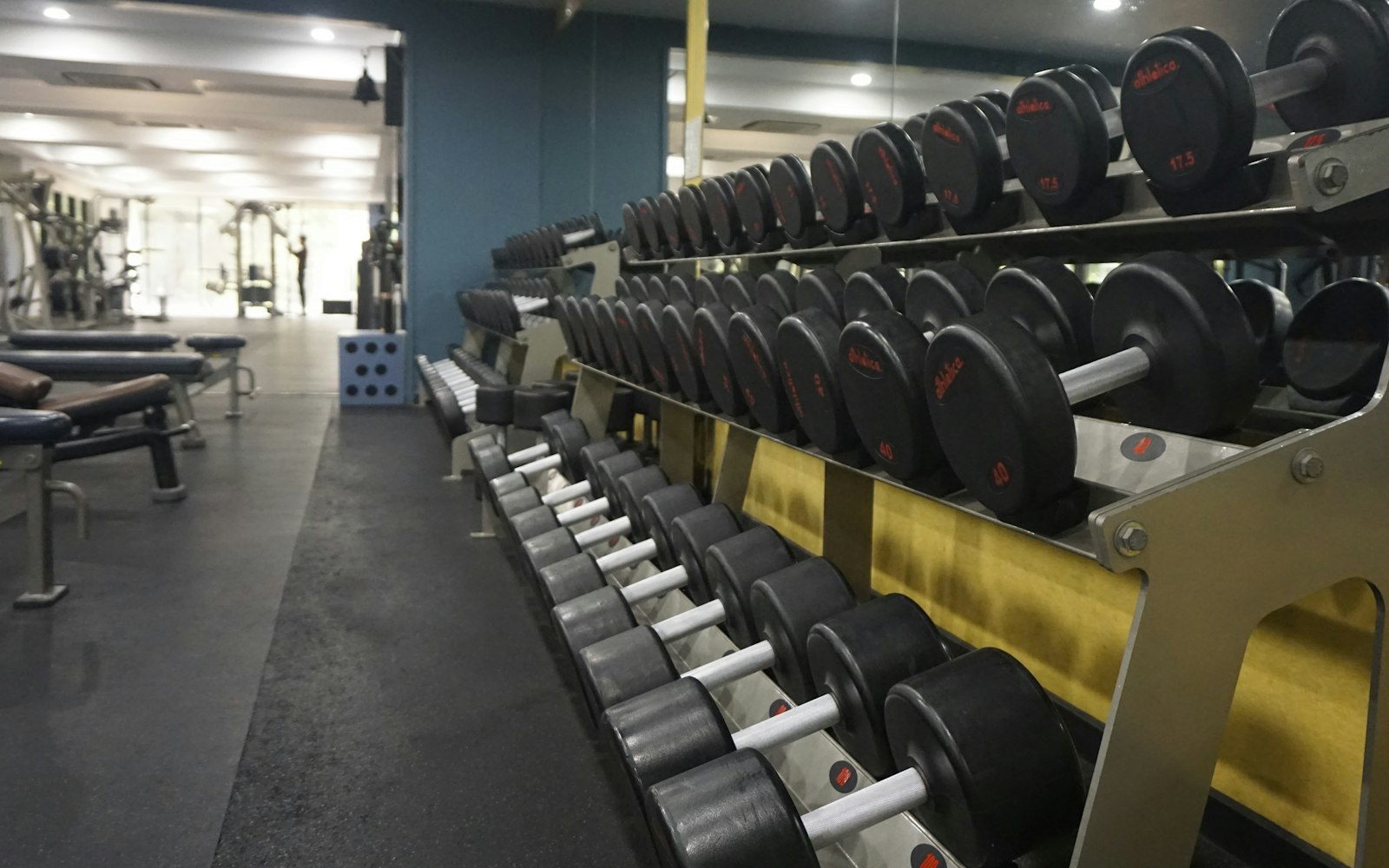 Dumbbells on the free weight rack